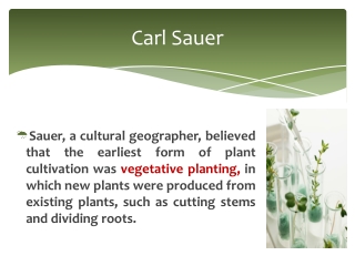 Carl Sauer