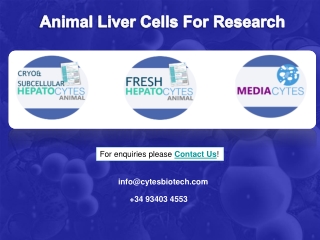 Animal Tissue for Research provided by Cytes Biotechnologies