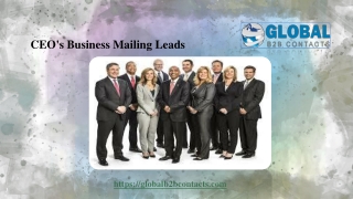 CEO's Business Mailing Leads