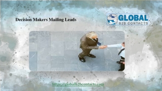 Decision Makers Mailing Leads