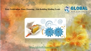 Data Verification, Data Cleansing , List Building Mailing Leads
