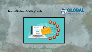 D-level Business Mailing Leads