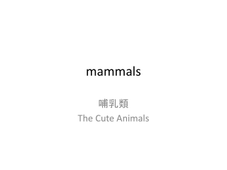 mammals