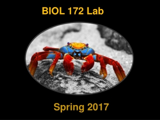 BIOL 172 Lab