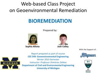 Web-based Class Project on Geoenvironmental Remediation