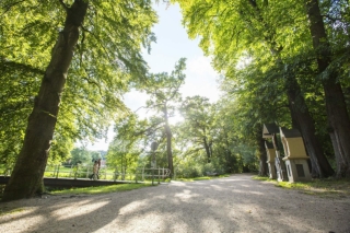 Vakantiehuis kopen in Zuid-Holland