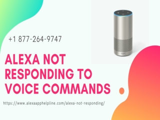 Alexa Not Responding to Voice Commands?