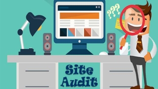 Website Auditing Services
