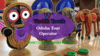 Visakha Travels Odisha Tour Operator