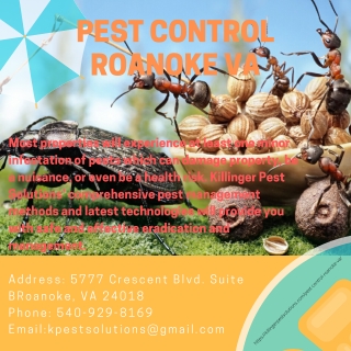 Pest Control Roanoke VA | Killinger Pest Solutions