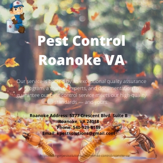 Pest Control Roanoke VA | Killinger Pest Solutions