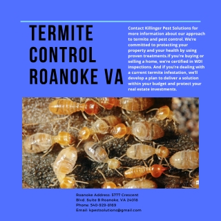 Termite Control Roanoke VA | Killinger Pest Solutions