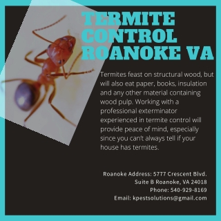 Termite Control Roanoke VA | Killinger Pest Solutions