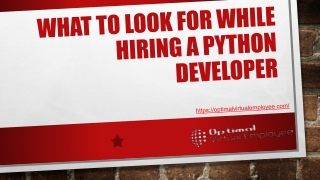 What to Look for While Hiring A Python Developer