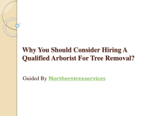 Why You Should Consider Hiring A Qualified Arborist For Tree Removal?