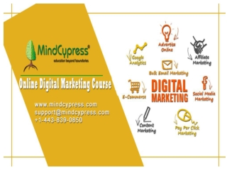 #1 Digital Marketing Course (Online) MindCypress 2019 | Digital Marketing Courses | Which is best free SEO tool ?