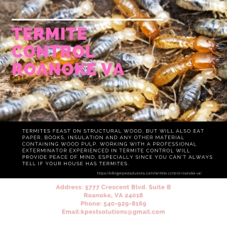 Termite Control Roanoke VA | Killinger Pest Solutions