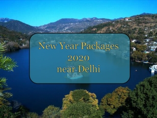 New Year Party 2020 near Delhi| New Year Celebrations