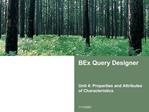 BEx Query Designer