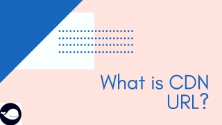 What is CDN URL?