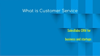 What Is Customer Service | SalesBabu CRM