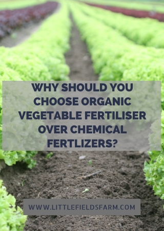 Why Should You Choose Organic Vegetable Fertiliser Over Chemical Fertlizers?