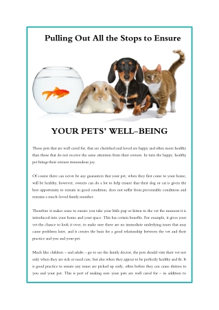Pulling Out All the Stops to Ensure Your Pets Well Being