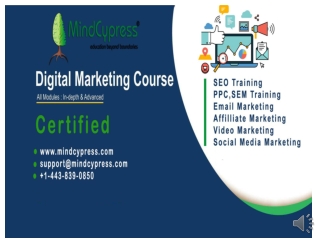 Digital Marketing Courses Online #DigitalMarketing2019 Mindcypress | Digital Marketing Certified Course