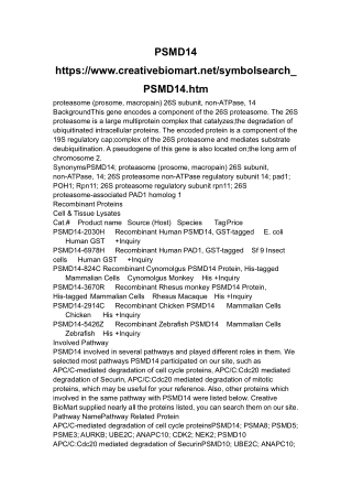 proteasome (prosome, macropain) 26S subunit, non-ATPase, 14