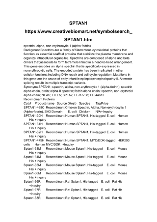 spectrin, alpha, non-erythrocytic 1 (alpha-fodrin)