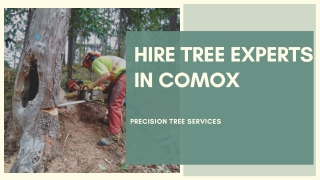 Hire Tree Experts In Comox