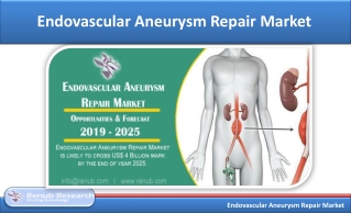 Endovascular Aneurysm Repair Market, Global Forecast by Stent Graft (2019 -2025)