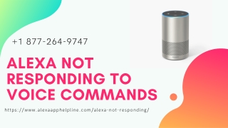 Alexa Not Responding and Alexa Slow To Respond