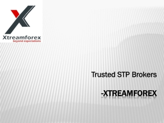 Trusted STP Brokers