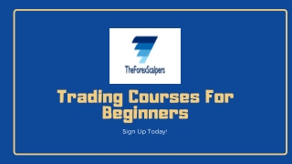 Best Forex Trading Courses for Beginners - The Forex Scalpers