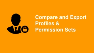 Compare and Export Multiple Profiles and Permission Sets