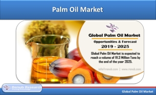 Palm Oil Market, Global Forecast, Consumption, Production, Import, Export