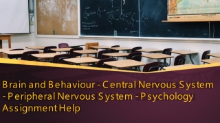 Brain and Behaviour - Central Nervous System - Peripheral Nervous System - Psychology Assignment Help