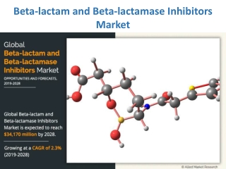 Beta lactam and beta-lactamase inhibitors market