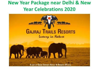 New Year Party 2020 in Jim Corbett | New Year Packages in Jim Corbett