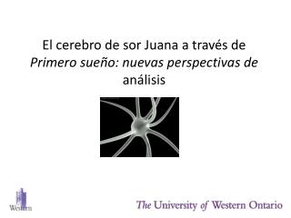 El cerebro de sor Juana a través de Primero sueño: nuevas perspectivas de análisis