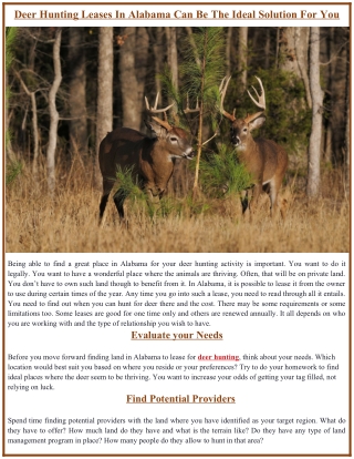 Deer Hunting Leases In Alabama Can Be The Ideal Solution For You