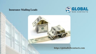 Insurance Mailing Leads