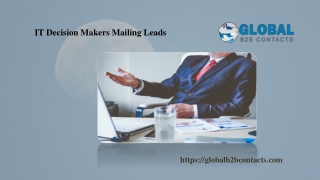 IT Decision Makers Mailing Leads