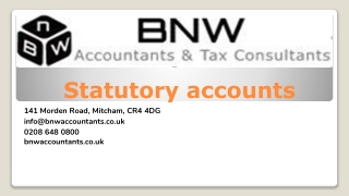 Statutory Accounts