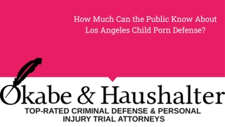How Much Can the Public Know About Los Angeles Child Porn Defense?
