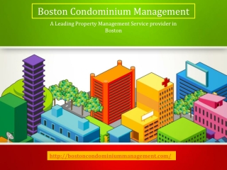 Best Property Managers in Boston