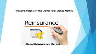 Trending Insights of the Global Reinsurance Market