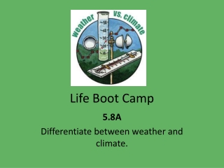 Life Boot Camp