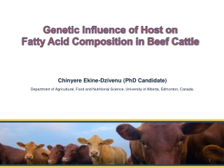 Genetic Influence of Host on Fatty Acid Composition in Beef Cattle